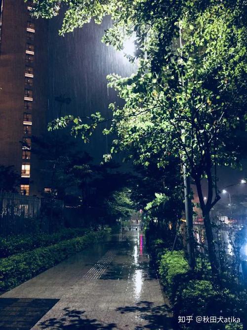 雨夜雨短句