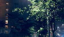 下雨夜雨的短句