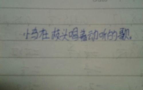 用大象写一个惊呆的句子