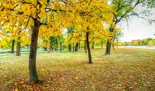 秋天的唯美诗句大全