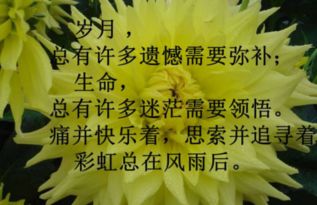 在春天的早晨，谈论情绪短语