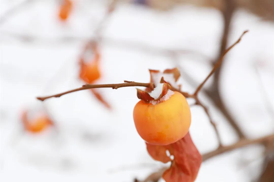 如何在雪中发送一个朋友圈1