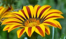 五一节过后问候短信