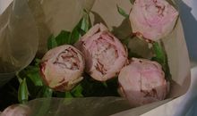 激励上进正能量句子