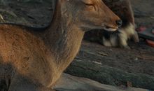 祝自己生日快乐的搞笑句子