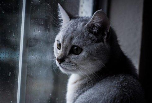 迎接雨天的迎接短信