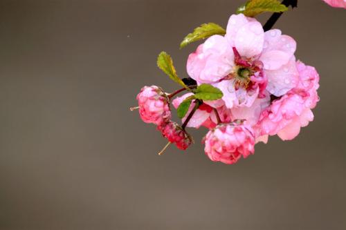 周到的短信问候2