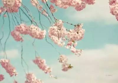 爱情