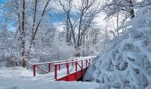 下雪天一起到白头句子