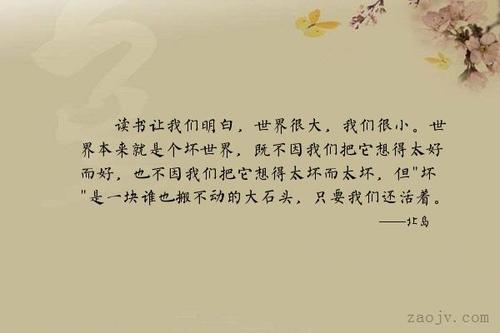 大约20张阅读