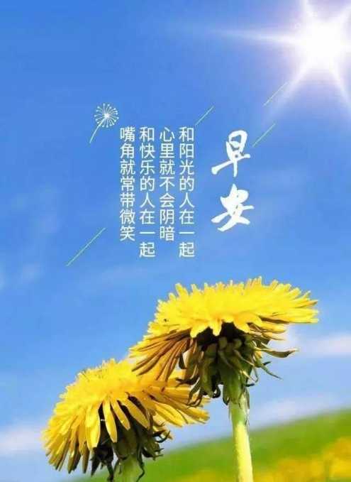 精致的早晨