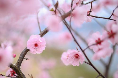 15.春天来夏天，让忙碌的全部“夏天”课，让麻烦“夏天”框架，让小雨“夏天”，让好运“夏天”，让祝福“夏天”到达。让幸福遵循一个夏天。
