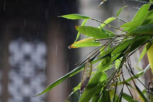 15，雨季，风吹下来，电闪光雷声，祝福风，问候下雨，在你周围的风雨，闪电是我的漂白，雷电是我的想法，天空的雨水是我的无尽的想法，朋友，祝你幸福。