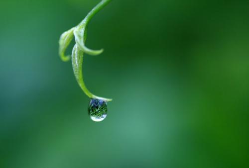 夏天雨后的短信问候