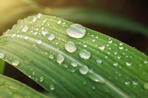 15.在大雨中洗脸，陷入困境。大雨倒，沮丧跑灯。洗窗口，窗户很明亮。大雨撞到了门上，心脏晴朗。在雨中，有一个很大，良好的阅读是无辜的。祝你快乐，快乐，不合适！
