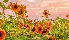 正能量文案短句干净治愈