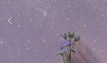 一眼惊艳的小众文案