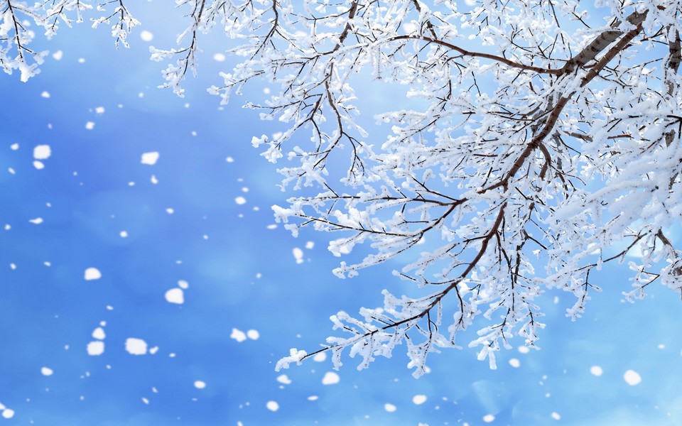 长街吻了成千上万的雪，但你没有看着我。