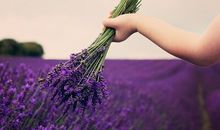 适合女生发的朋友圈句子