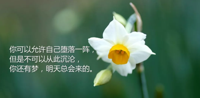 短句短句，短句，现实2