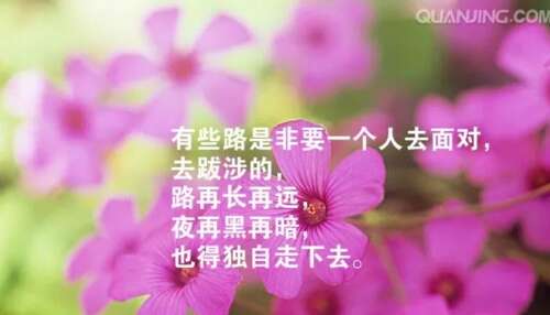 短句短句简短句子