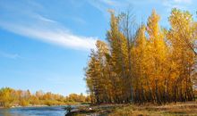 忍气吞声心烦的句子