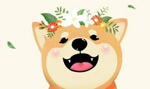 今年祝福新年流行语