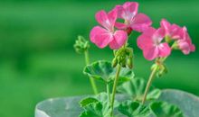 个性签名2021英文