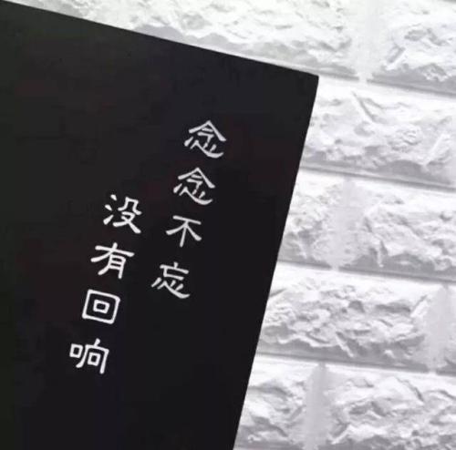 2020摇动最火的句子