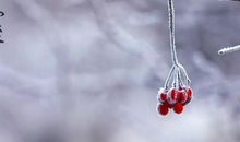 描写冬至的句子简短