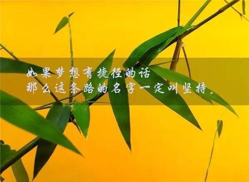 早安报价正面能源微企业