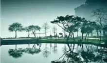 宽容心静的句子