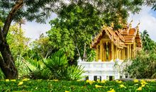 夏目友人帐里面友情的句子