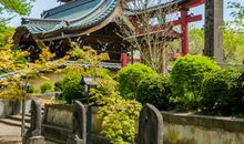 友情聚一起的句子