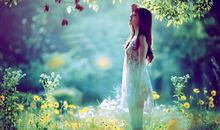 人生像一场梦的心静句子