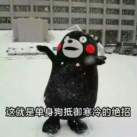 它很冷，图片1