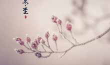 描写冬至的句子一句话