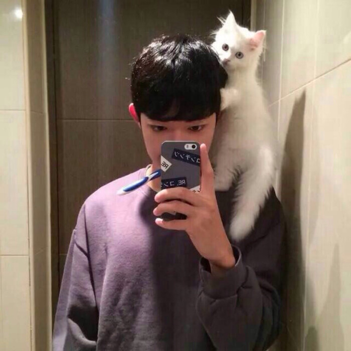 男性官员句