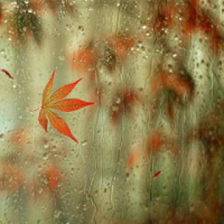 最新的多雨问候短信大全1