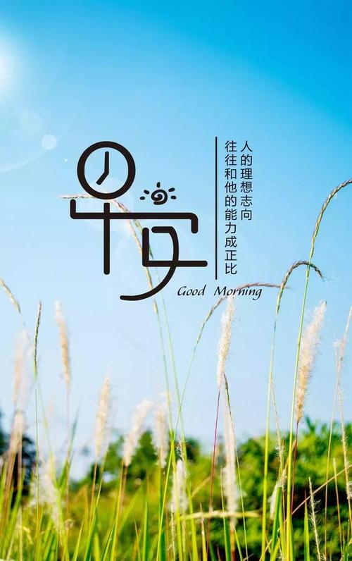 向你的同事留言