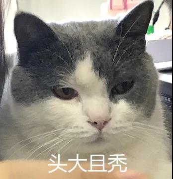 2021年新的一年有趣的句子朋友圈2