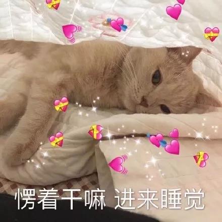 2021年新的一年有趣的句子朋友圈1