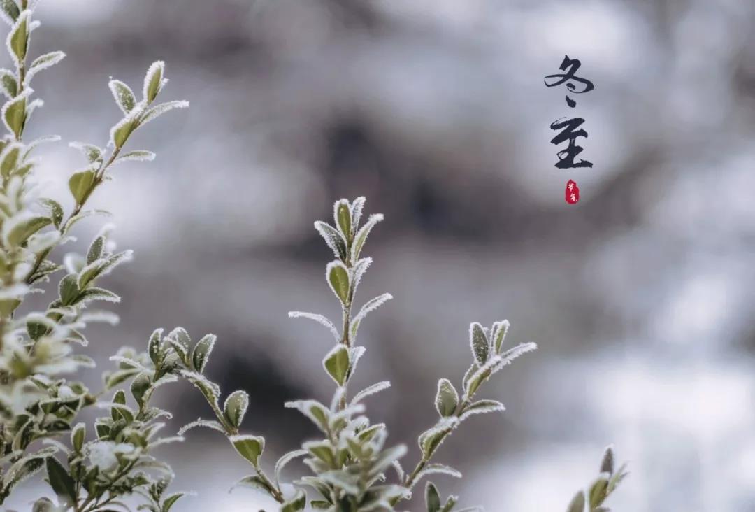 关于冬至的美学句子