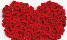 玫瑰花卡片寄语 简短