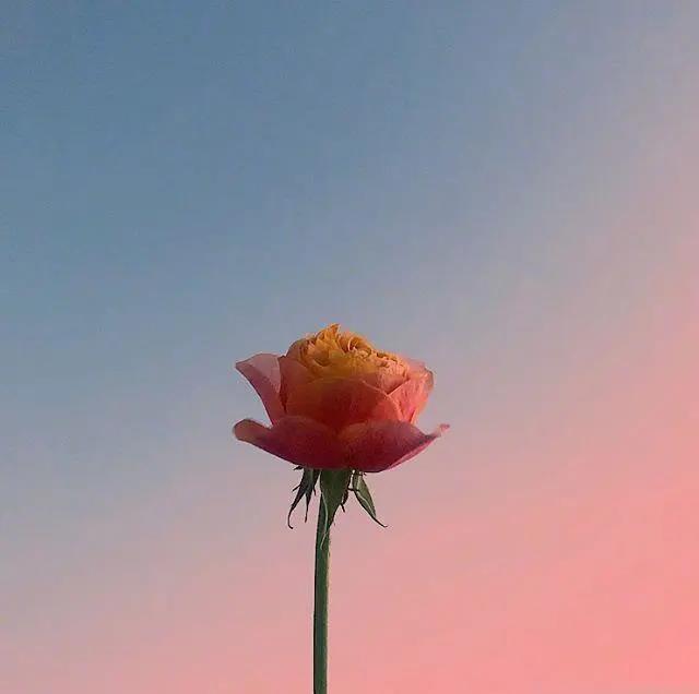 30.如果没有反思，前进，赢得自己的方式。