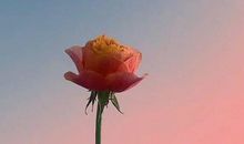 为了生活努力拼搏的说说