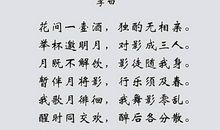 形容岁月催人老的诗句