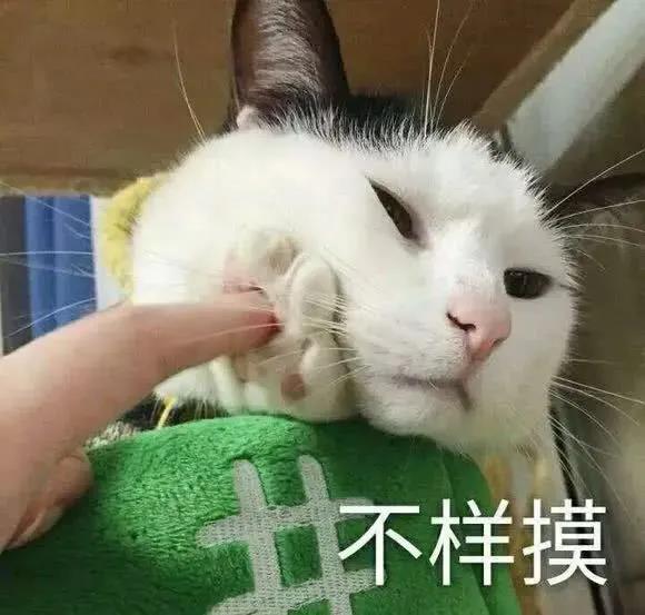 20.如果你敢于为一生而战，我不会让你失去。