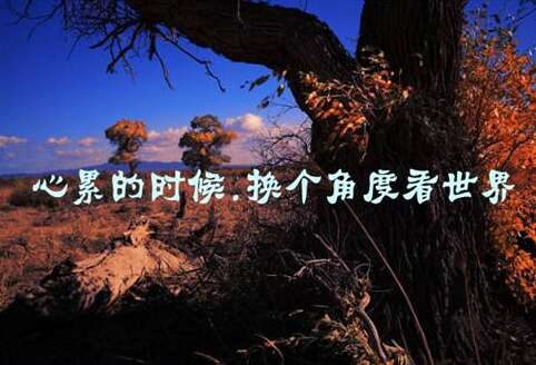 我要来哭泣