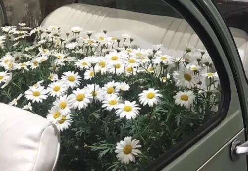 特殊的讽刺现实副本1